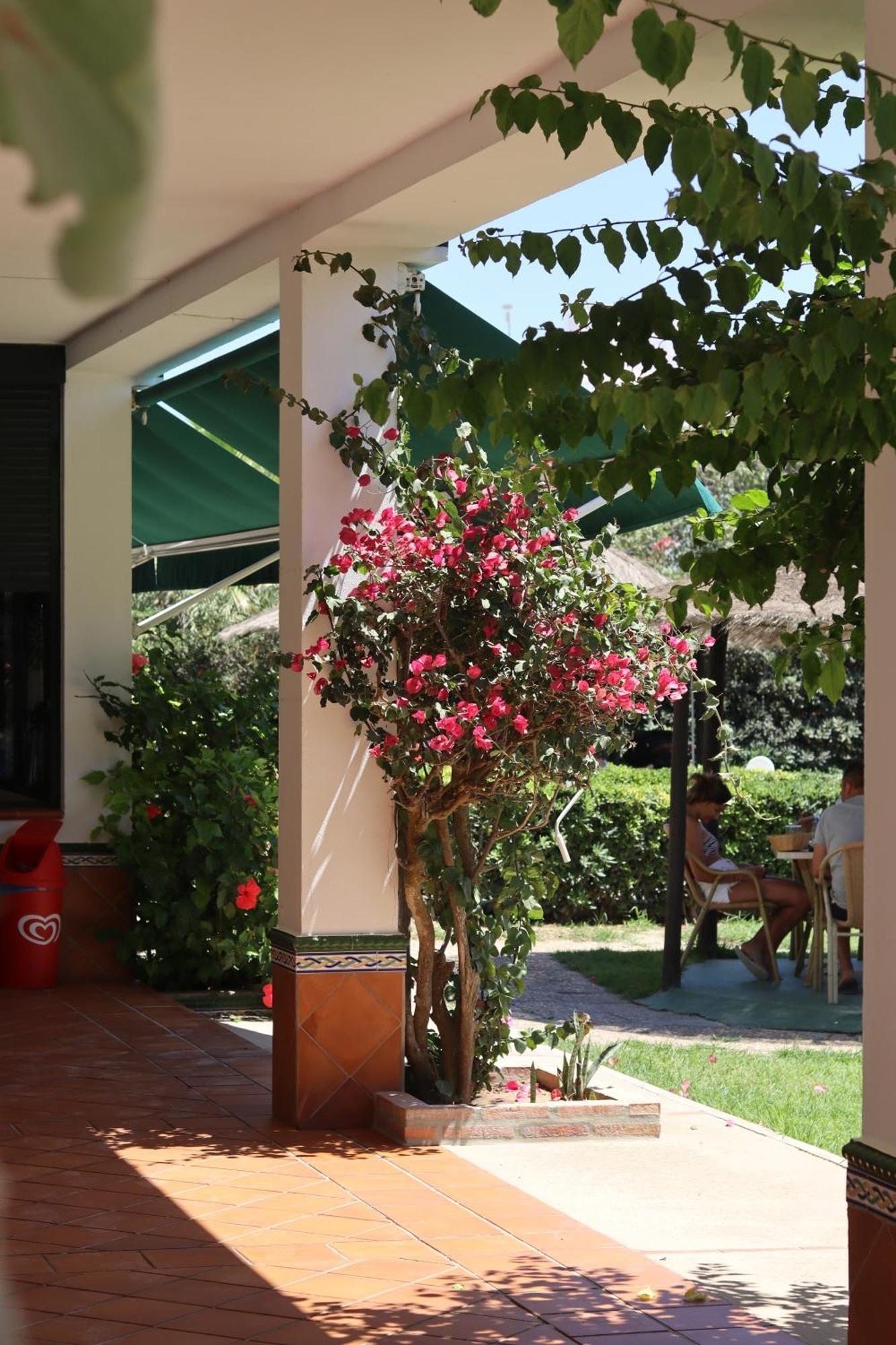 Hostal Restaurante La Ilusion El Palmar  Eksteriør billede