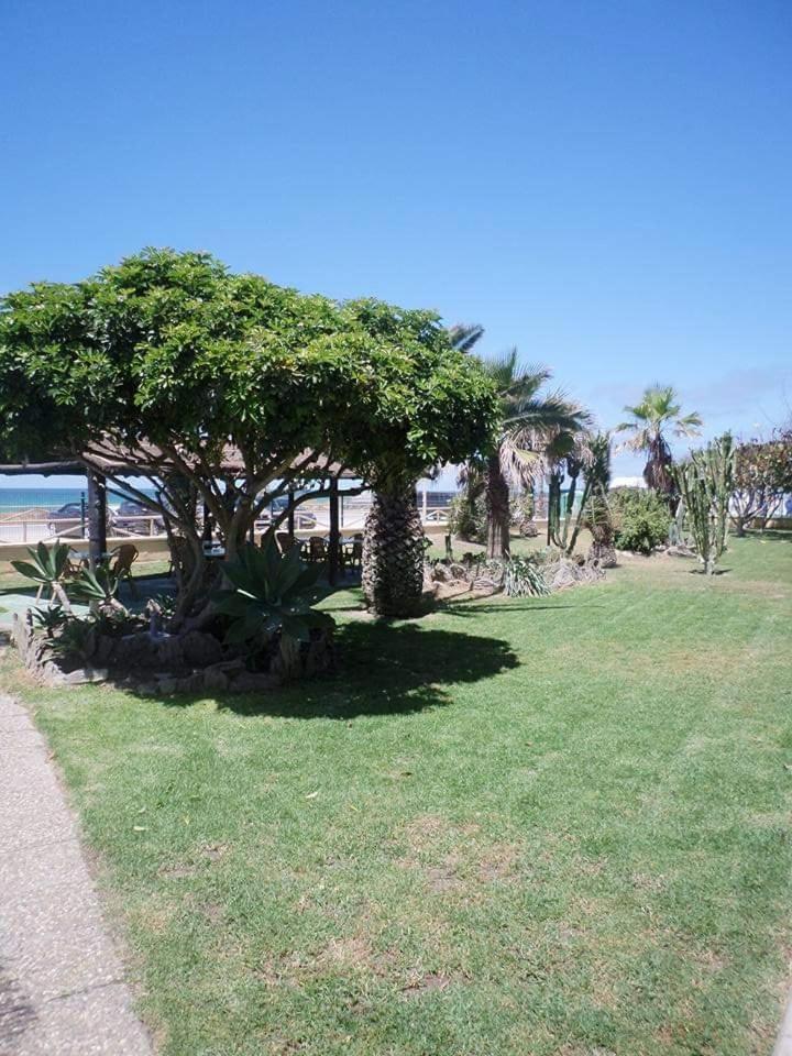 Hostal Restaurante La Ilusion El Palmar  Eksteriør billede